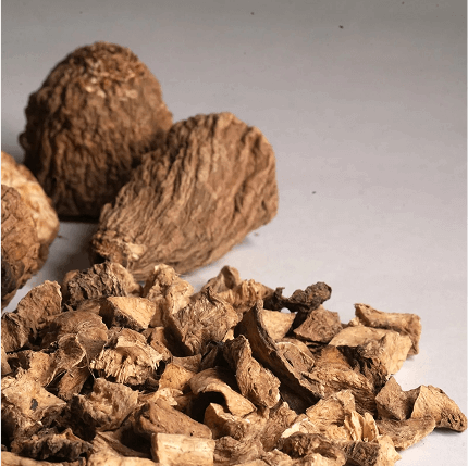 Dried Chicory Cubes Manufacturer in India | Bulk Supply