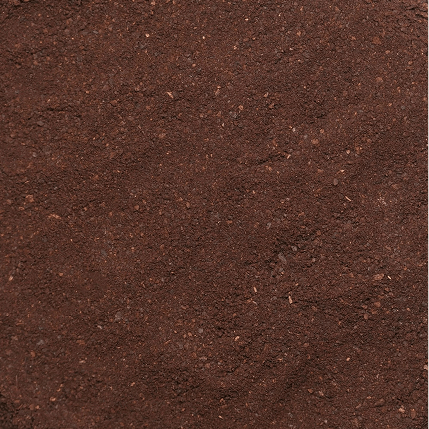 Roasted Chicory Powder Manufacturer in India