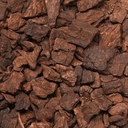 Roasted Chicory Cubes Manufacturer & Exporter in India