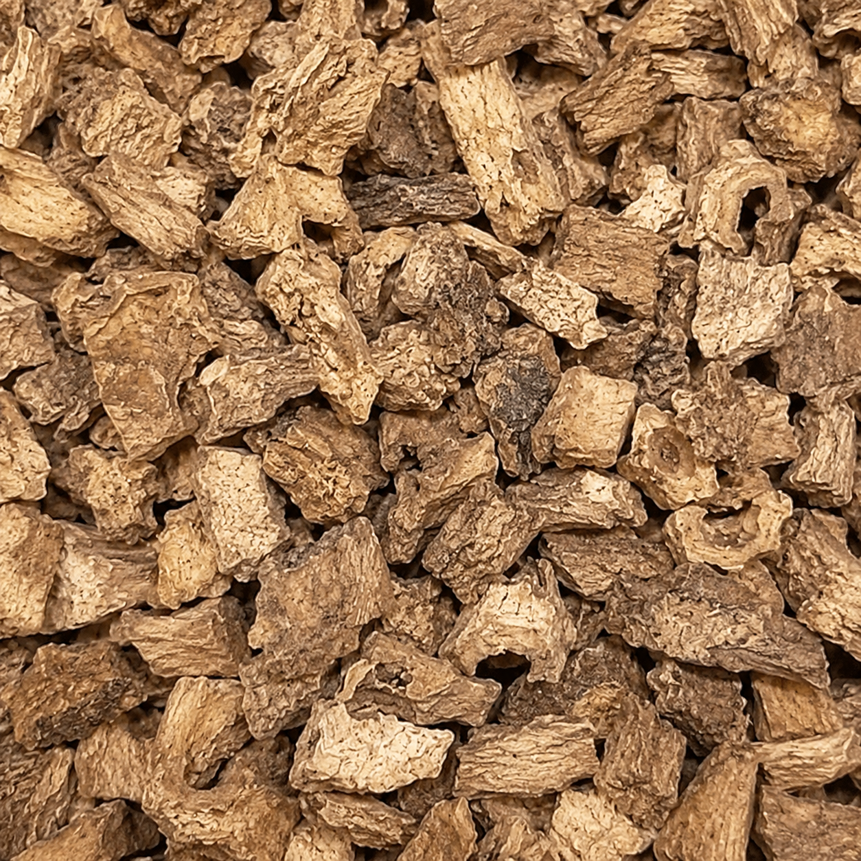 Dried Chicory Roots Manufacturer in India | Bulk Supply