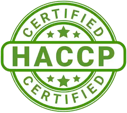 HACCP Certified Chicory Exporter India