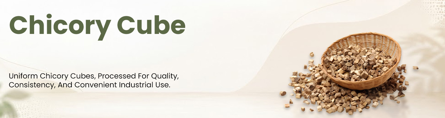 Chicory Cube Supplier