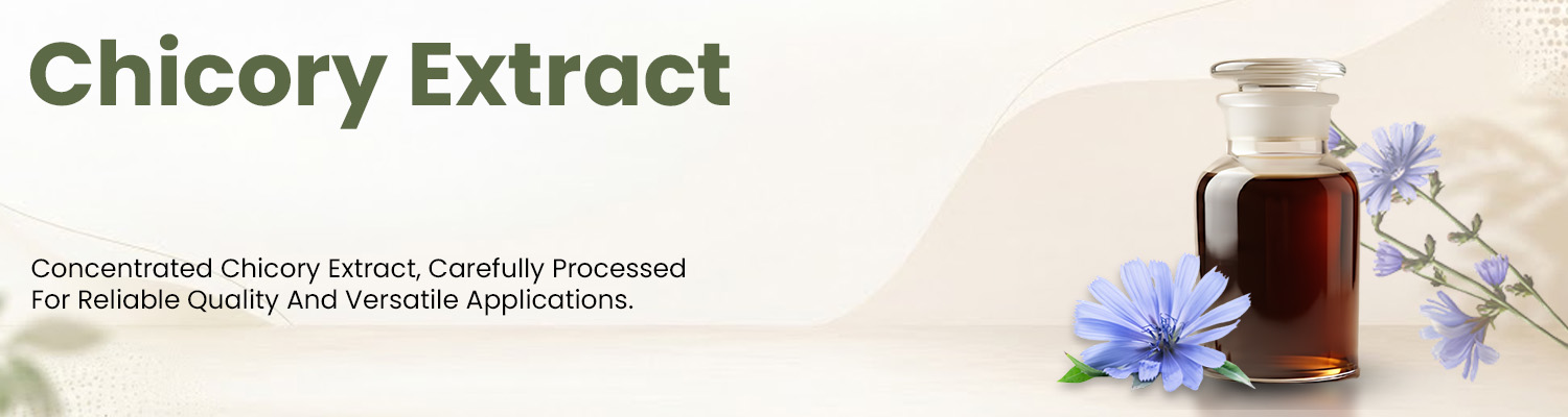Chicory Extract Supplier