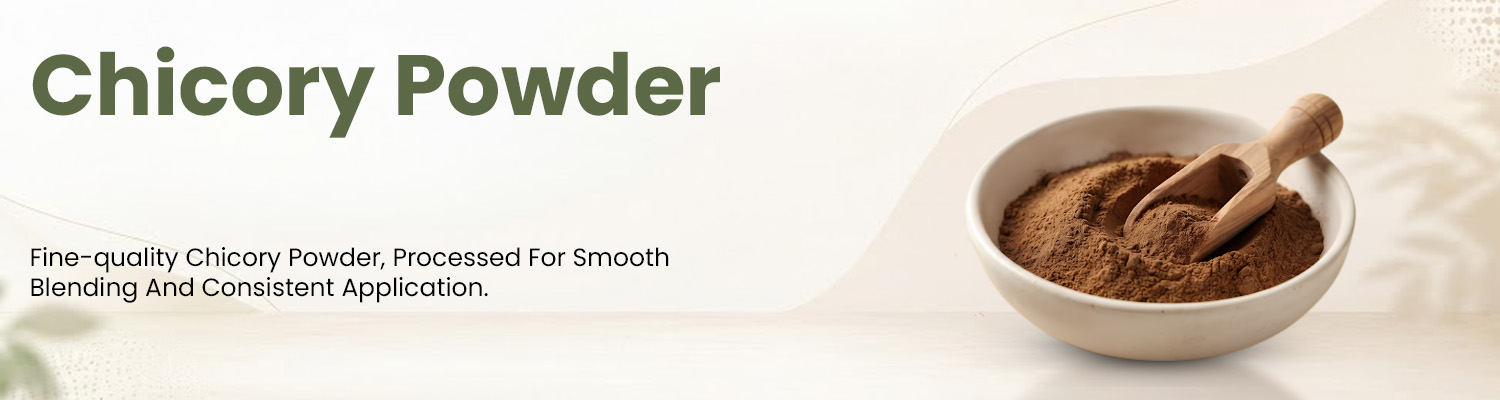Chicory Powder Supplier