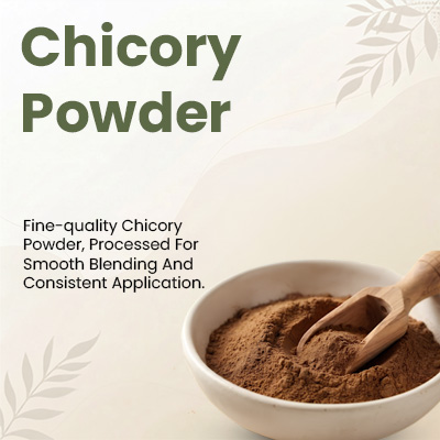 Chicory Powder