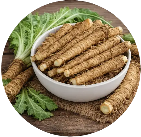 Chicory Roots