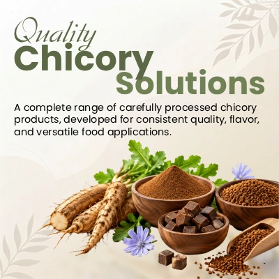 Chicory