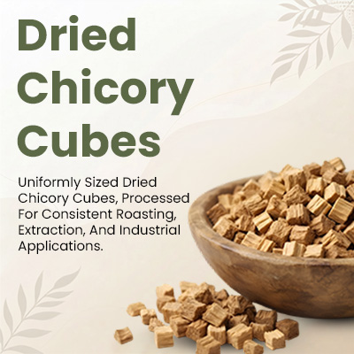 Dried Chicory Cubes