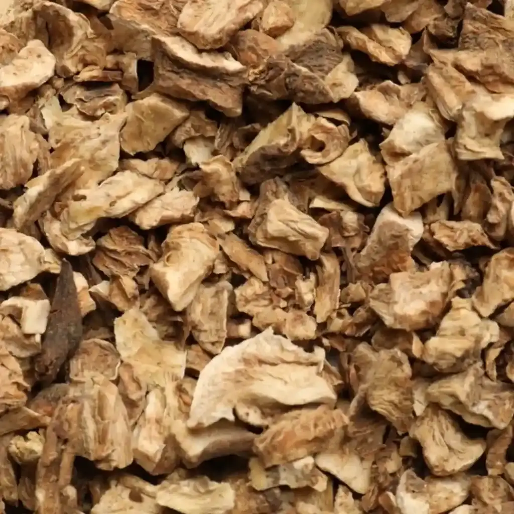 Dried Chicory Roots Supplier