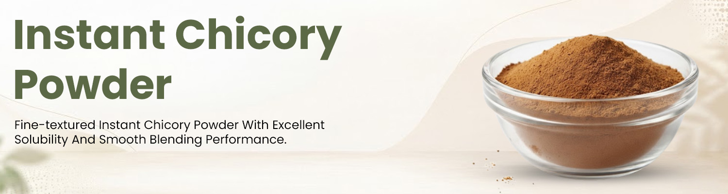 Instant Chicory Powder Supplier