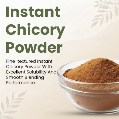 Instant Chicory Powder