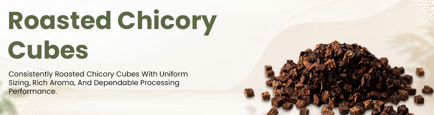 Roasted Chicory Cubes Supplier