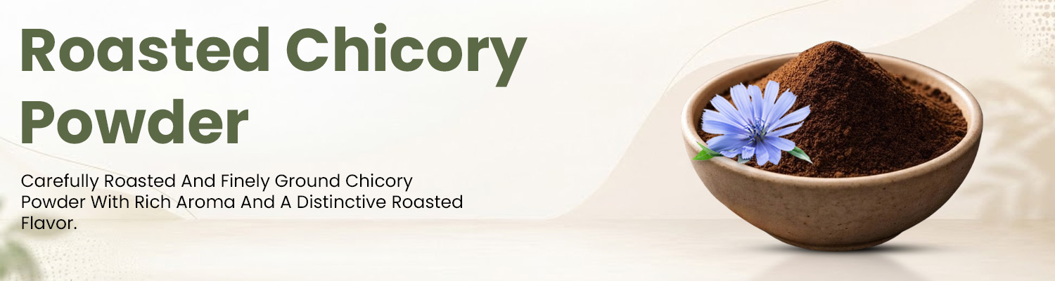 Roasted Chicory Powder Supplier