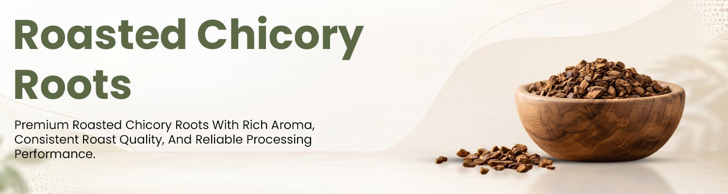 Roasted Chicory Roots Supplier