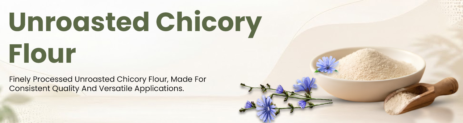 Unroasted Chicory Flour Supplier