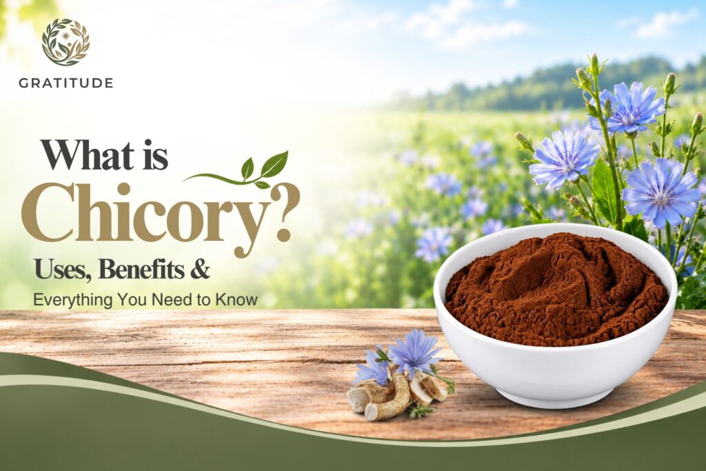 What-is-Chicory