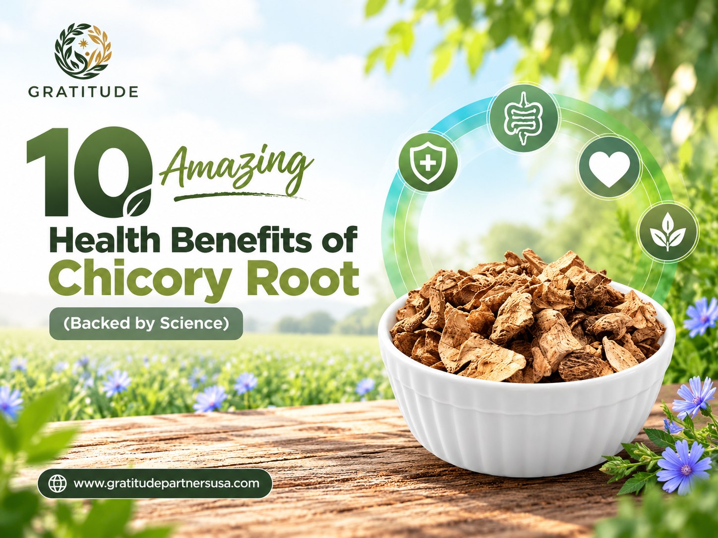 10 Amazing Health Benefits of Chicory Root (Backed by Science)